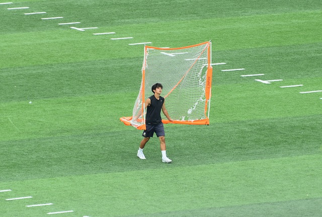 策略和可能