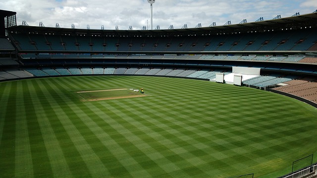 颇具看点 颇具看点