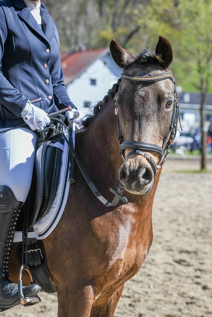 更高的自由 更高的自由