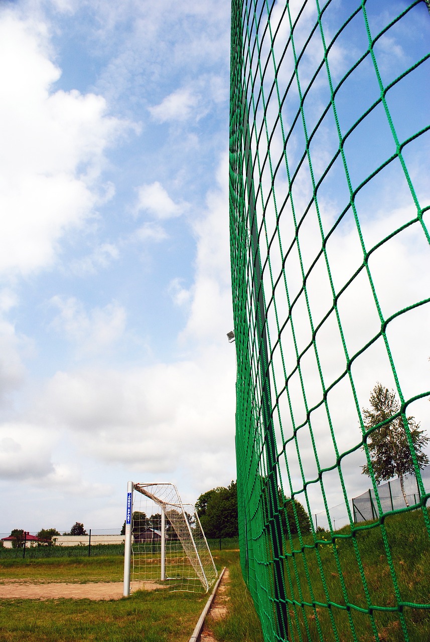 仅吸引着广 仅吸引着广