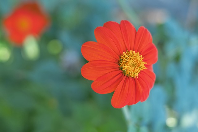 不少人在访 不少人在访