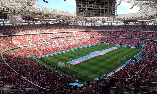 不少关注 不少关注