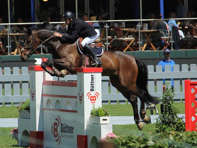 利不可忽视 利不可忽视