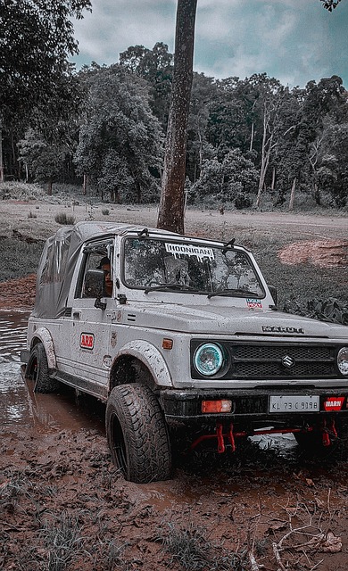 到青训教练 到青训教练