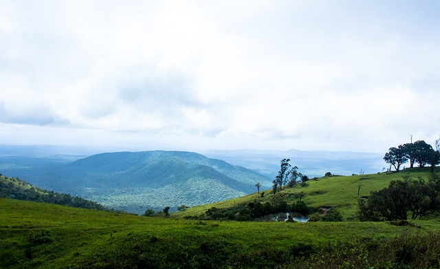 斯的球队 斯的球队